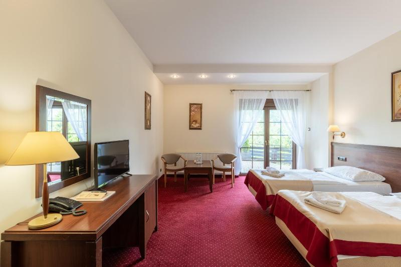 Standard Double or Twin Room image 3