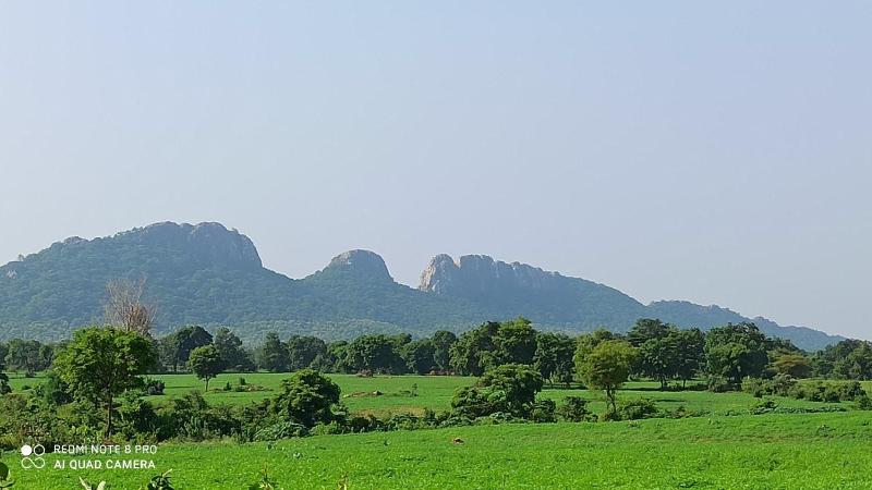 Abhiram Homestay - image 10