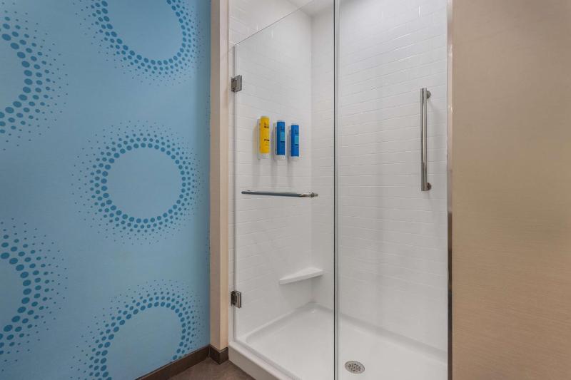 King Room with Walk-In Shower image 4