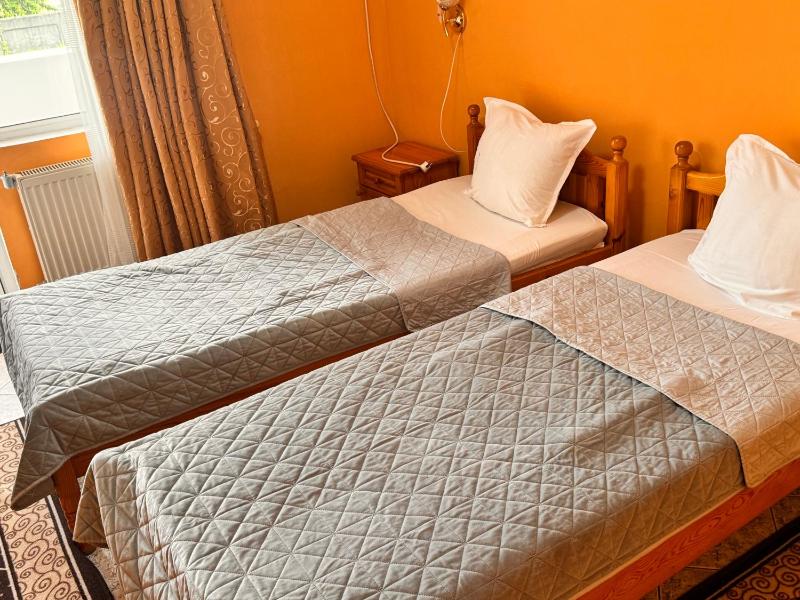 Large Twin Room image 4