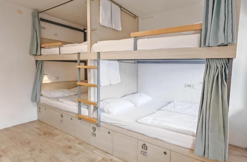 Bunk Bed in Mixed Dormitory Room image 1
