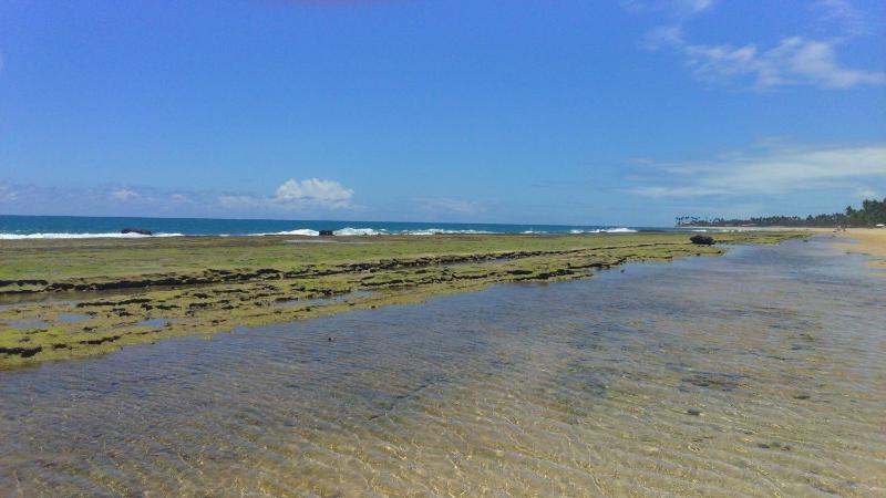 Flat Beach Class Resort Muro Alto - image 35
