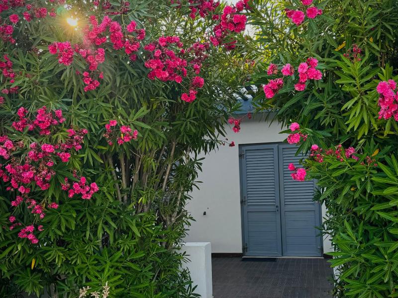 Double Room with Garden View image 3