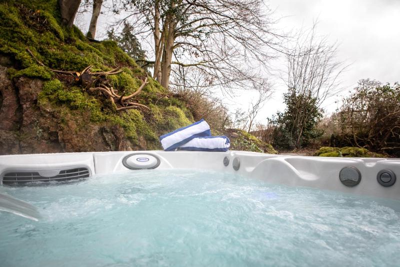 Suite with Hot Tub image 3