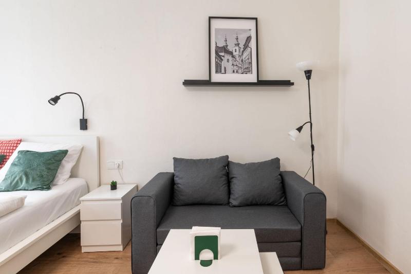 Main Square Apartments - U Mamlasů - image 32