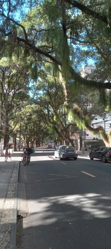 Luz de Regina Bahia - image 7