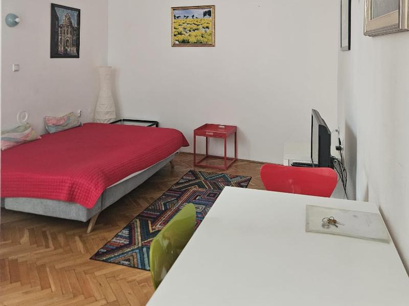 One-Bedroom Apartment image 3