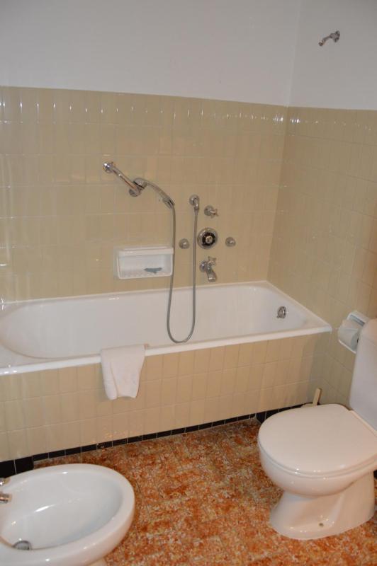 Three-Bedroom Apartment with Lake View image 3