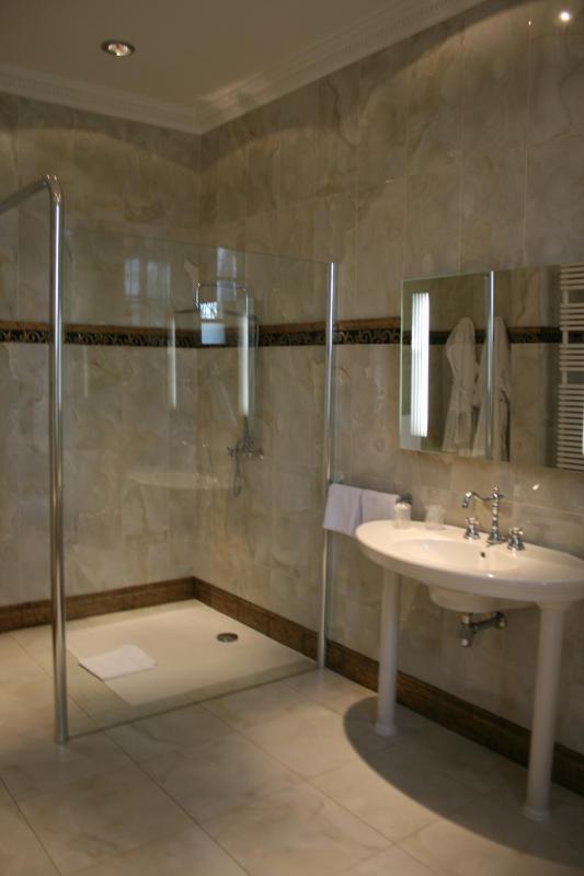 Luxe Double or Twin Room image 1