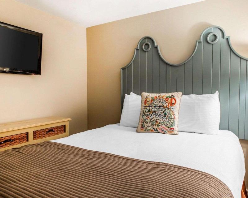 One Bedroom Suite  image 1