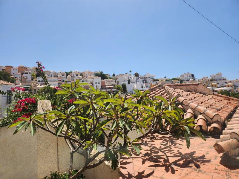 Los Almendros - image 21