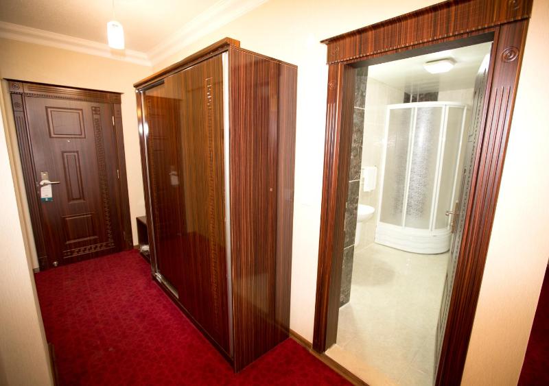 Deluxe Double or Twin Room with City View image 4