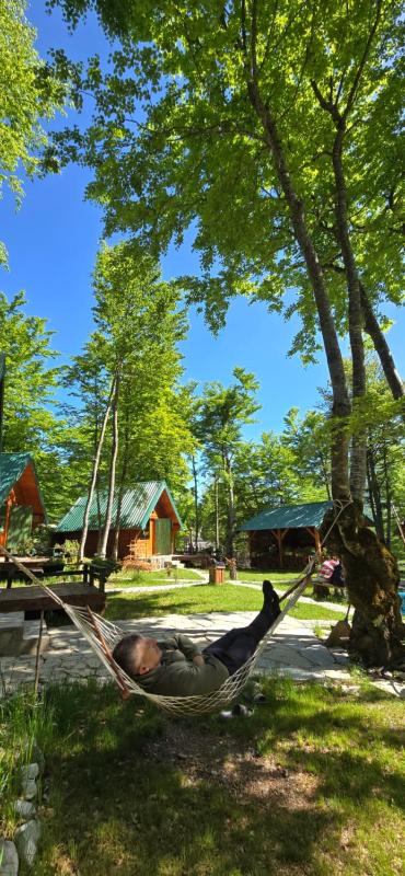Chalet image 2