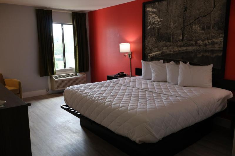 King Room image 1