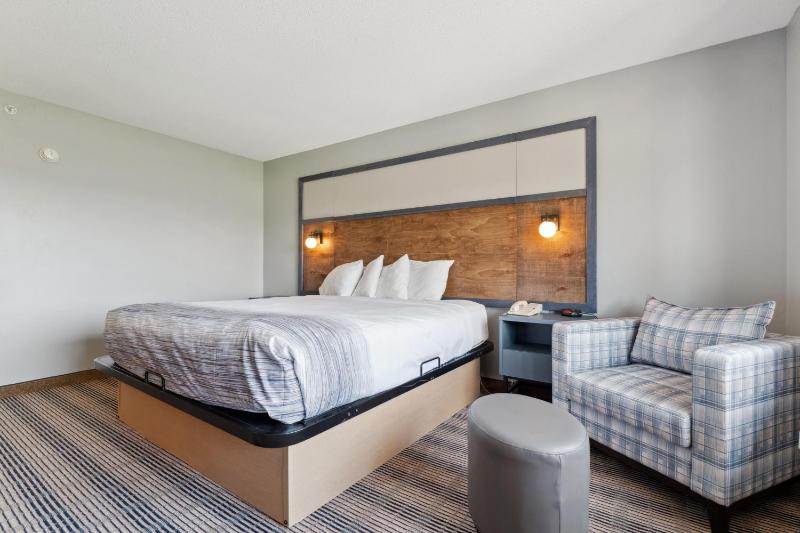 King Room - Non-Smoking image 3