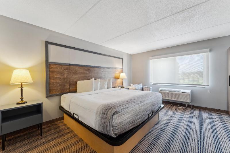 King Room - Non-Smoking image 2