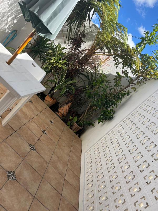 Green House - image 12