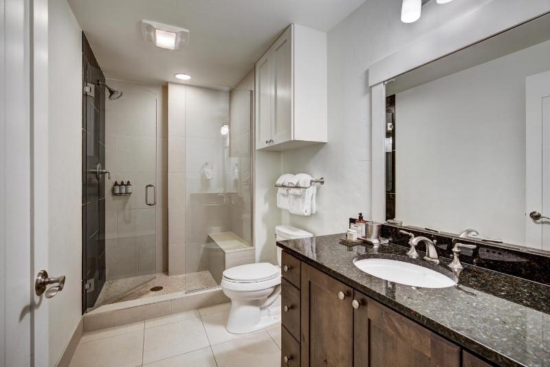 One Ski Hill Place S8309 - image 3