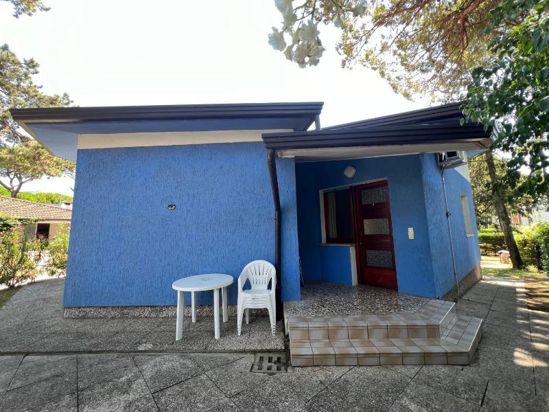Ville Nelson Ninoska - image 14