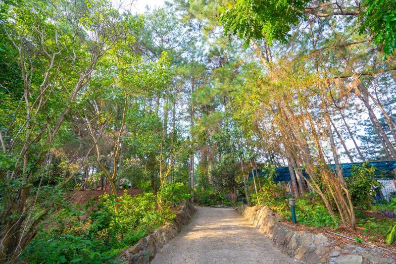 Pine Hill Villas & Camping - image 13