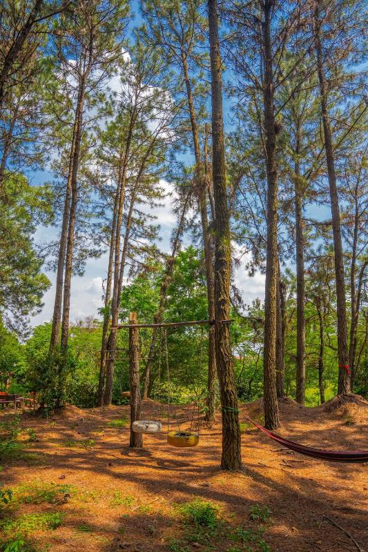 Pine Hill Villas & Camping - image 5