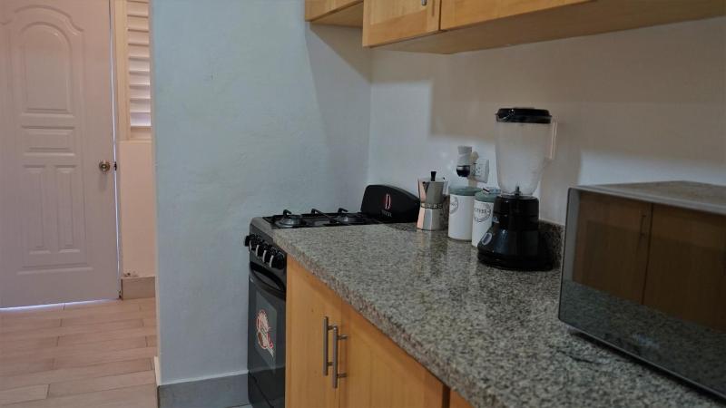 La Yarolina - image 27