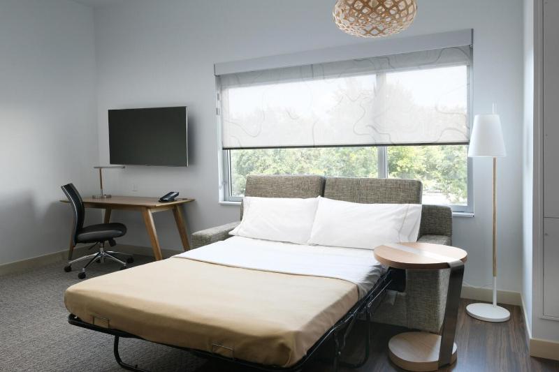 King Studio with Sofa Bed image 2