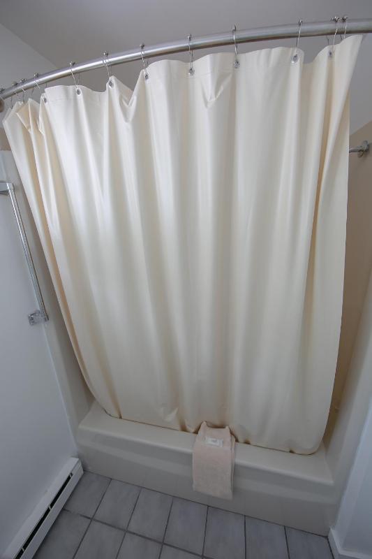 One-Bedroom Apartment (4 Adults) image 2