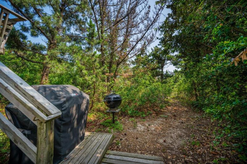 OSF24 Dunesbury - image 49