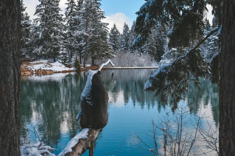 Holiday Home image 3