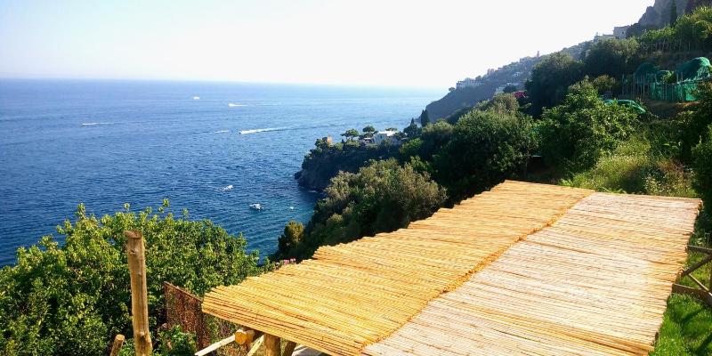 Sea Breeze House - image 9