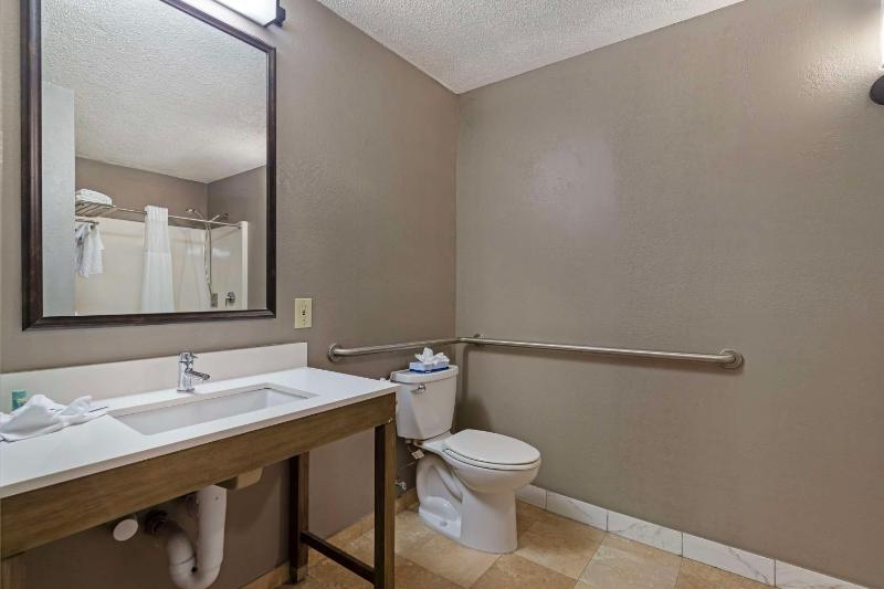 King Room with Roll in Shower - Mobility Accessible image 3