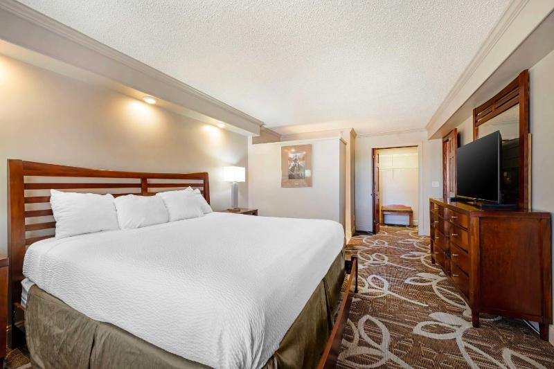 King Suite with Sofa Bed and Kitchen image 3