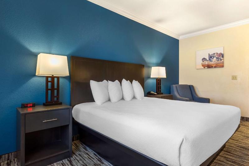 King Room - Non-Smoking image 4
