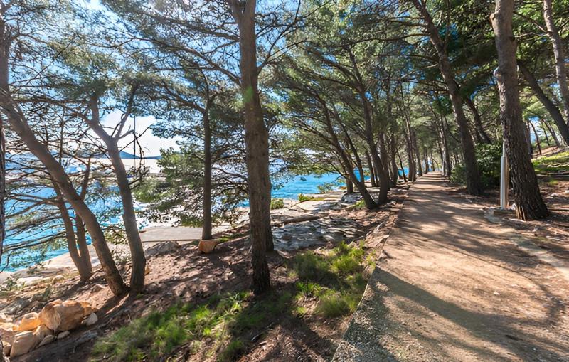 Apartments by the sea Drage Biograd - 23455 - image 18