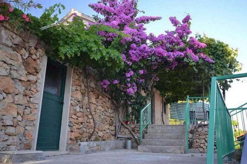 Apartments with parking space Murvica Brac - 23462 - image 1