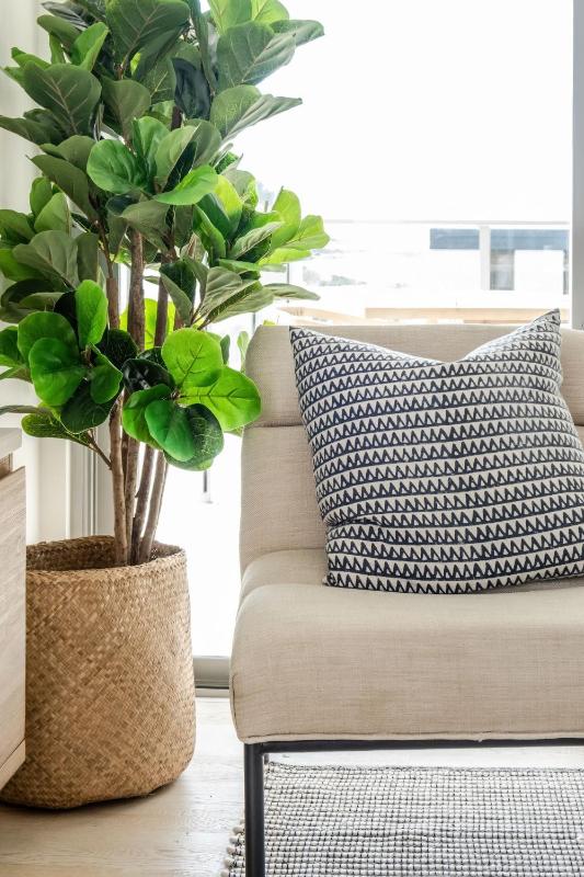 Modern Seaside Oasis in Kings Beach - image 17