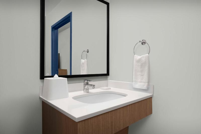 King Room with Roll-In Shower - Mobility Access image 3