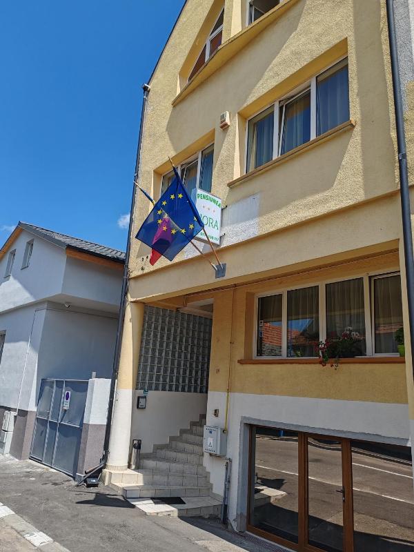 PENSIUNEA HORA - image 9