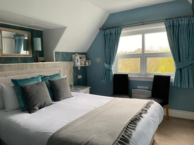 Superior King Room image 1