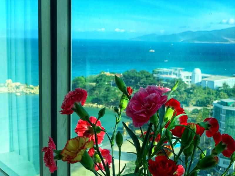 May Sea House Nha Trang - image 3