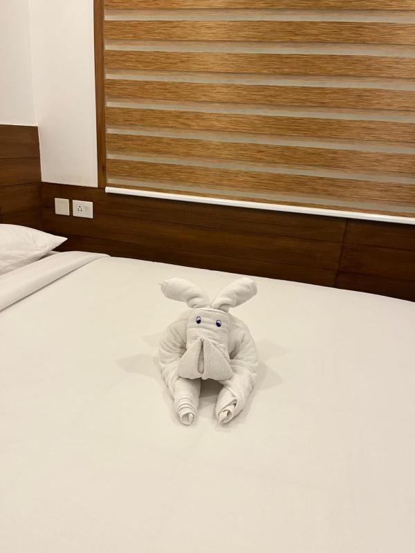 Welcome Hotels - image 18