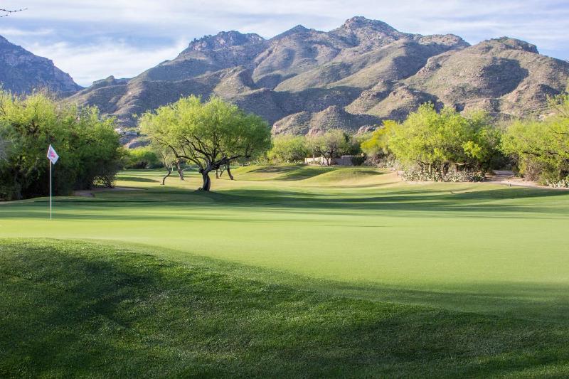 Ventana Canyon Club and Lodge - image 7