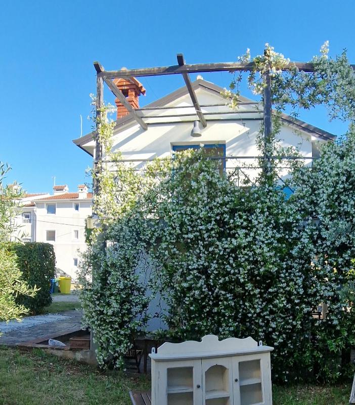 House Ivas with garden - image 24