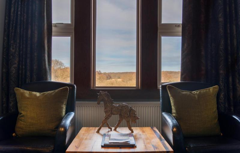 Superior Double Room image 3