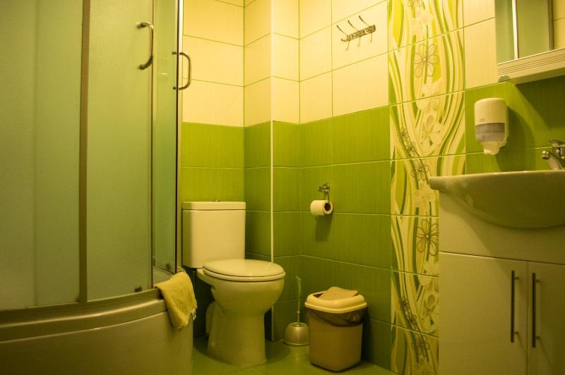 Standard Family Room image 2