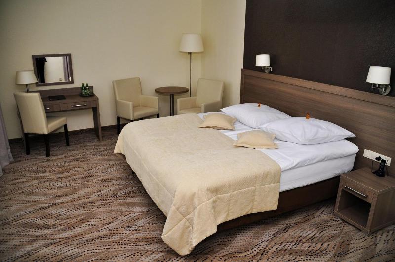 Luxury Single Room image 3
