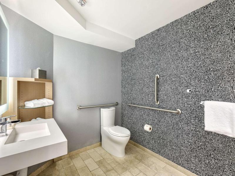 Mobility Accessible Deluxe King with Roll-In Shower image 4