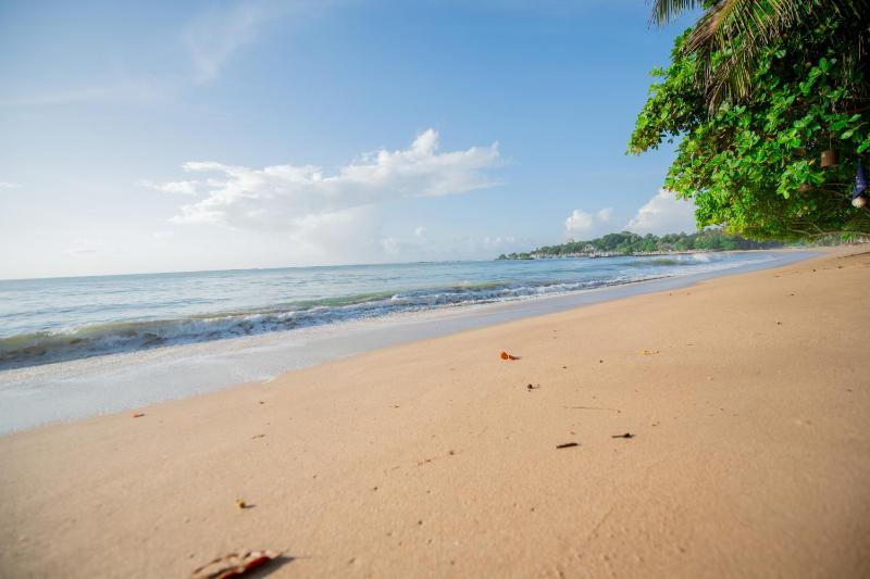 Luaya Beach - image 6
