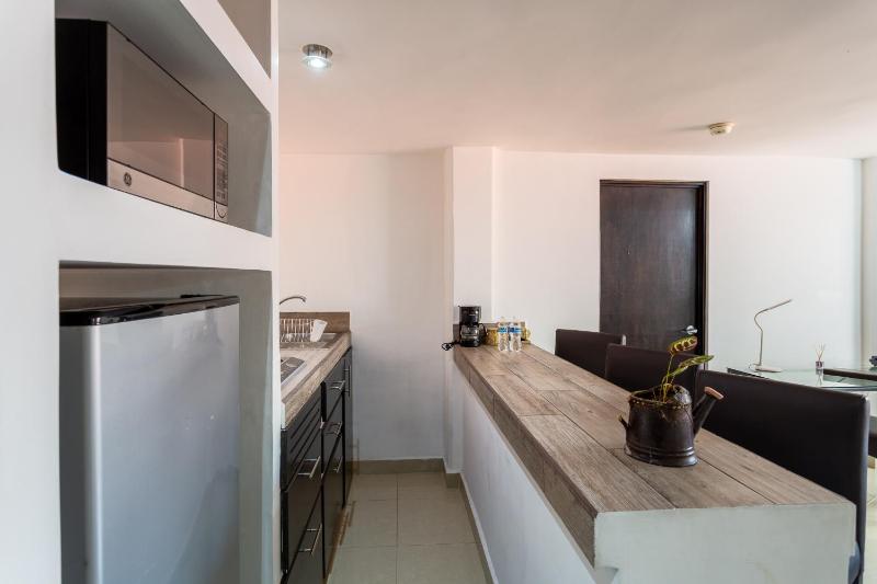 Suites 259 Condesa - image 10